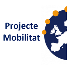Erasmus, projecte de mobilitat amb López Vicuña