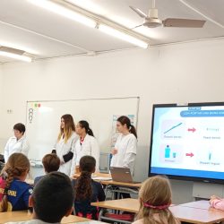Salut oral a primària 2024