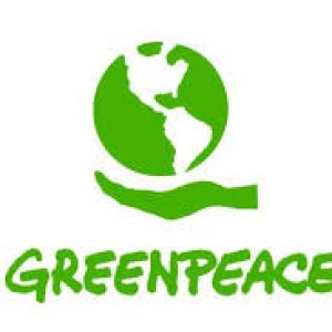 Unim forces amb Greenpeace per formar a líders en Sostenibilitat
