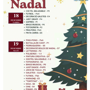 Celebració de Nadal a López Vicuña: Organització i Horaris