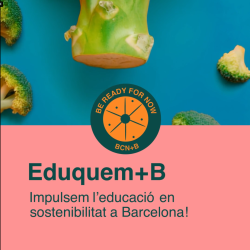 Informe de competències en sostenibilitat (16 a 24 anys) a Barcelona 2025