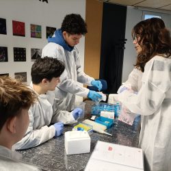 Recerca d’ADN al Parc Científic de Barcelona